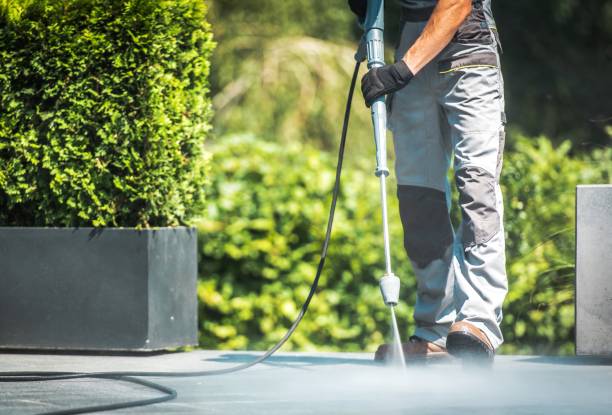 Professional Pressure Washing in Ormond By The Sea, FL