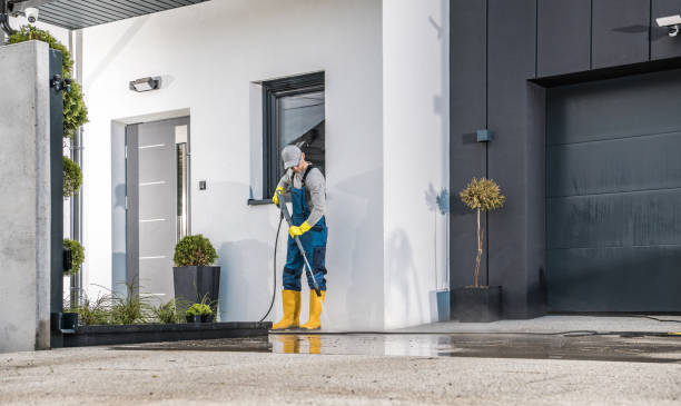 Best Soft Washing  in Ormond By The Sea, FL